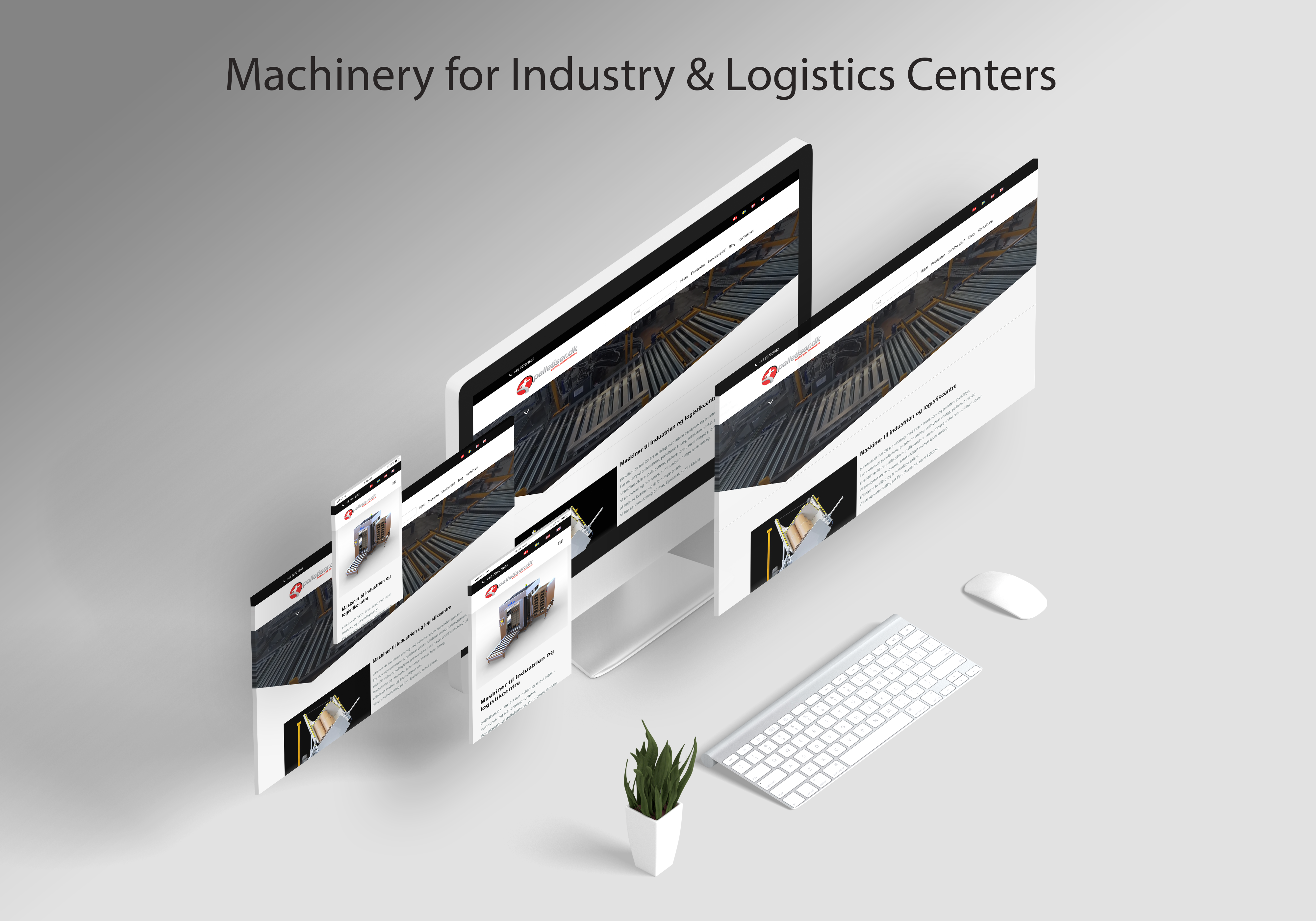 Web Designing, Graphic Designing, UI/UX Designing, Logo Designing